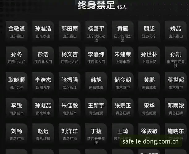 足协第三批禁足名单全面解析：从行业乱象看中国足球的深层治理逻辑